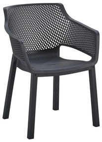 ΠΟΛΥΘΡΟΝΑ ΠΟΛΥΠΡΟΠΥΛΕΝΙΟΥ PEGGY HM6368.02 ΜΑΥΡΟ 60x55x79Υεκ