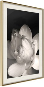 Αφίσα - Delicacy of a Flower - 40x60 - Χρυσό - Με πασπαρτού