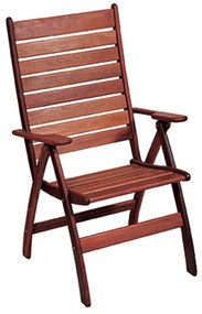 Πολυθρόνα Πτυσσόμενη C4036BM-R Brown Red 60X63X110 cm