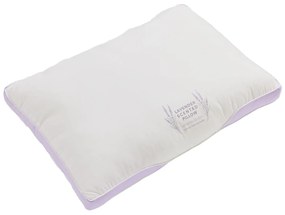 DAS HOME ΑΡΩΜΑΤΙΚΟ ΜΑΞΙΛΑΡΙ LAVENDER 50Χ70 1427 WHITE