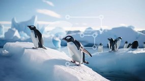 Intra Συλλεκτικό Ξύλινο Παζλ Plywood 4mm - Ομάδα πιγκουίνων σε ένα παγόβουνο στο νερό Σε Ξύλινο Κουτί - Διαστάσεις: 10x10 cm – 25 κομμάτια