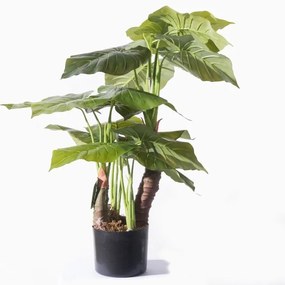 Supergreens Τεχνητό Φυτό Αλοκάσια Elephant Ears Πράσινο 80 εκ