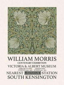 Αναπαραγωγή Pimpernel (Special Edition) - William Morris, (30 x 40 cm)