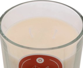 Κερί Αρωματικό 350gr (Φ10x10) A-S Floa Amber 207011D