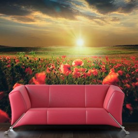 Φωτοταπετσαρία - Morning on the poppy meadow 350x270