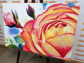 Εικόνα με τριαντάφυλλα σε αποχρώσεις του ροζ