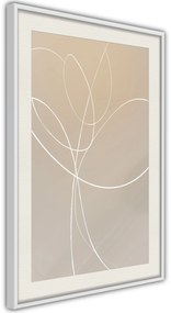 Αφίσα - White Tulip - 30x45 - Χρυσό - Με πασπαρτού