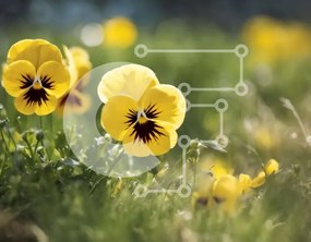 Intra Συλλεκτικό Ξύλινο Παζλ Plywood  4mm - Όμορφα κίτρινα λουλούδια σε ένα χορταριασμένο χωράφι Σε Ξύλινο Κουτί - Διαστάσεις: 10x10 cm – 25 κομμάτια