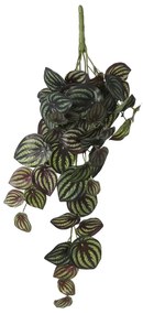 Τεχνητό Φυτό Κρεμαστό 58εκ. Edelman Peperomia D.Green 1074936