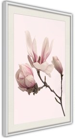 Αφίσα - Blooming Magnolias II - 40x60 - Χρυσό - Χωρίς πασπαρτού