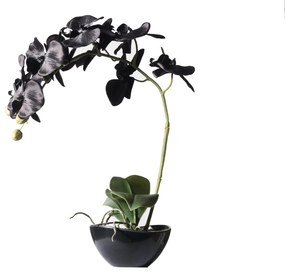 Supergreens Τεχνητό Φυτό Ορχιδέα Phalaenopsis Real Touch Μαύρη με Κασπώ 48 εκ.