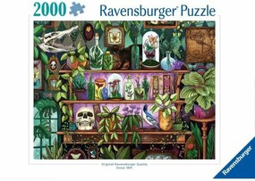 Παζλ Ravensburger 12001416