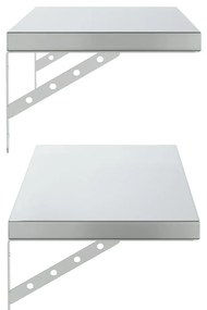 vidaXL Ράφια Τοίχου 2 τεμ. Ασημί 100x30 εκ. Ανοξείδωτο Ατσάλι