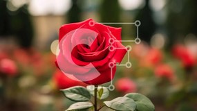 Intra Συλλεκτικό Ξύλινο Παζλ Plywood 4mm - Μονό κόκκινο τριαντάφυλλο σε ανθοσυνθέσεις Σε Ξύλινο Κουτί - Διαστάσεις: 10x10 cm – 25 κομμάτια