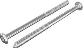 vidaXL Βίδες επίπλων 2 pcs Ασημί M6 x 100 χιλ. Ατσάλι