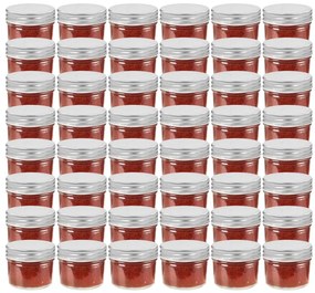 vidaXL Βάζα Μαρμελάδας 48 τεμ. 110 ml Γυάλινα με Ασημένια Καπάκια