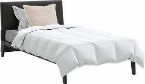 vidaXL Χειμερινό Παπλωματοθήκη με μαξιλάρι 2 pcs Λευκό Φτέρος