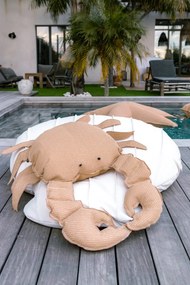 Διακοσμητικό Μαξιλάρι MX HOME αδιάβροχο, πλωτό Coussin crab raphia-00N3