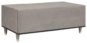 vidaXL Τραπεζάκι σαλονιού Γκρι 100 x 54 x 40 εκ Μασίφ ξύλο μάνγκο