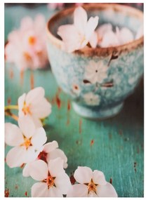 Πίνακας Καμβάς Flower Cup 50x70x2.5 Εκ.
