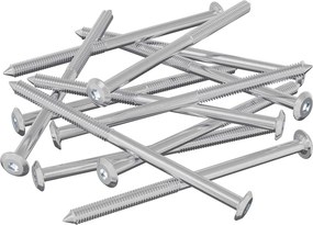 vidaXL Βίδες επίπλων 12 pcs Ασημί M6 x 100 χιλ. Ατσάλι