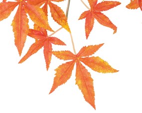 GloboStar® Artificial Garden MAPLE BRANCH 20230 10 x Τεχνητά Διακοσμητικά Κλαδία Σφένδαμου Π55 x Υ60cm