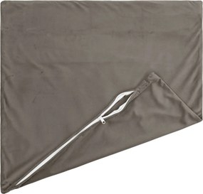 vidaXL Μαξιλάρι Ρίψης 2 τμχ. HEERLEN Ανοιχτό γκρι 30 x 30 cm Βελούδο