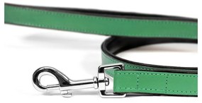 Λουρί Σκύλου Gloria 1.8 x 100 cm Πράσινο