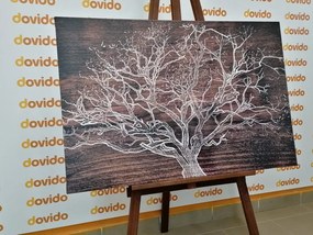 Εικόνα κορώνας δέντρου σε ξύλινο φόντο - 60x40