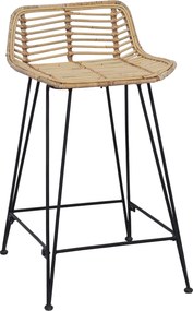 vidaXL Μπαρ σκαμπό 2 pcs Φυσικό 44 x 45 x 76 εκ. Ράτταν και Χάλυβας