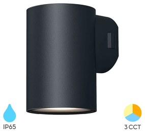 Φωτιστικό Επίτοιχο Braytron BG38-02482 Γκρι (Grey) CCT3