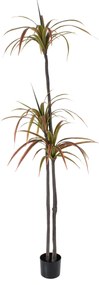 GloboStar® Artificial Garden DRAGON BLOOD TREE 20371 Τεχνητό Διακοσμητικό Φυτό Δράκαινα Υ220cm