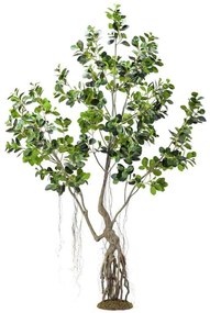 Τεχνητό Δέντρο Φίκος Ginseng 2770-6 250cm Green Supergreens Πολυαιθυλένιο,Ύφασμα