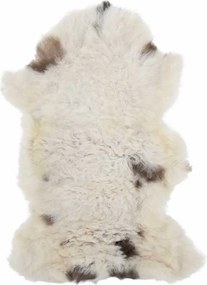 vidaXL Γούνα Προβάτου Διαφόρων Αποχρώσεων (60-70) x (90-100) εκ.