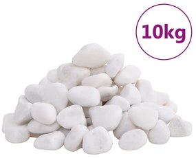 vidaXL Βότσαλα Γυαλισμένα Λευκά 10 κ. 2-5 εκ.