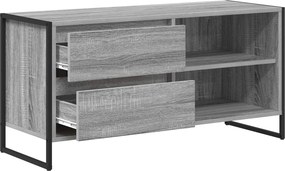 vidaXL Ντουλάπι TV 100 x 36 x 49,5 εκ Γκρι Sonoma