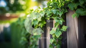 Intra Συλλεκτικό Ξύλινο Παζλ Plywood  4mm - Ξύλινος φράχτης με καλυμμένο πράσινο κισσό Σε Ξύλινο Κουτί - Διαστάσεις: 10x10 cm – 25 κομμάτια