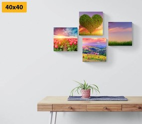 Σετ εικόνων της φύσης σε παστέλ χρώματα - 4x 60x60