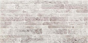 vidaXL Πάνελ τοίχου 10 pcs Ανοιχτό Γκρι και Λευκό 100 x 50 cm