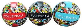 Μπάλα βόλεϋ σε διάφορα χρώματα - Volleyball-0267005-161971