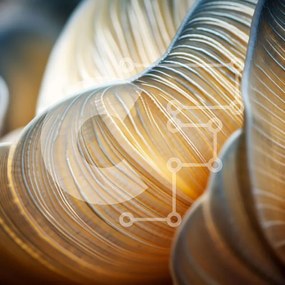 Intra Συλλεκτικό Ξύλινο Παζλ Plywood  4mm - Μανιτάρι με περίπλοκο σχήμα Σε Ξύλινο Κουτί - Διαστάσεις: 10x10 cm – 25 κομμάτια