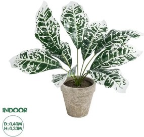 Διακοσμητικό Φυτό Λευκό Αγλαόνημα Artificial Garden 20903 Globostar-20903-Λευκό 20903