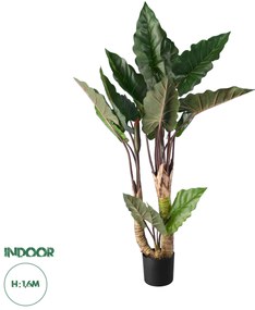 20208 GloboStar® Artificial Garden RAINBOW TARO 20208 Τεχνητό Διακοσμητικό Φυτό Κολοκασία Υ160cm