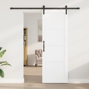 vidaXL Συρόμενη Πόρτα  Σετ των 2 Λευκή και μαύρη Ξύλο, Μέταλλο