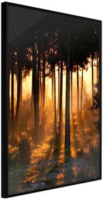 Αφίσα - Dark Tree Tops - 30x45 - Μαύρο - Χωρίς πασπαρτού