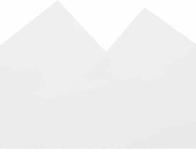 vidaXL Μουσαμάς Λευκός 6 x 8 μ. 650 γρ./μ²