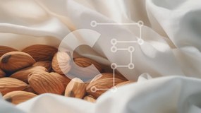 Σετ των 2 Intra Συλλεκτικό Ξύλινο Παζλ Plywood 4mm - Αμύγδαλα σε λευκό ύφασμα Σε Ξύλινο Κουτί - Διαστάσεις: 10x10 cm – 25 κομμάτια