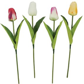 MarHome ΚΛΑΔΙ ΤΟΥΛΙΠΑ ASS (4 XΡΩΜΑΤΑ) - Υ55cm 10/24KIB  00-2208