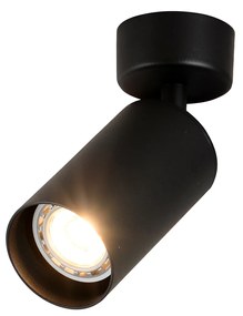 R 2046