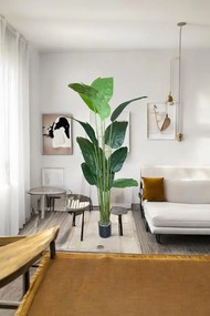 Stewehome Τεχνητό δέντρο starlice με 12 μεγάλα φύλλα πράσινο Πράσινο